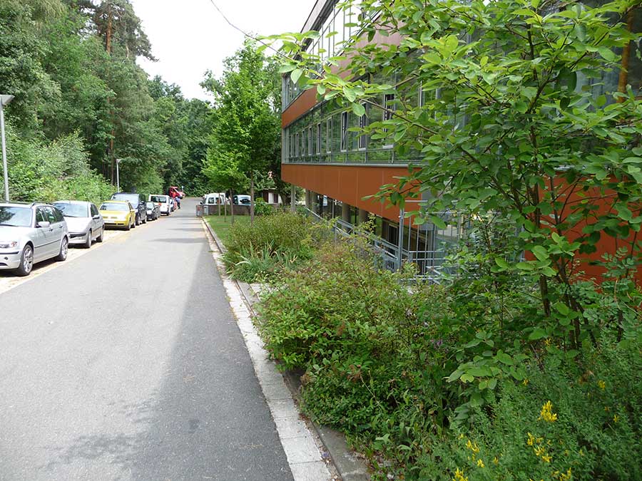 Landschaftsarchitekt Neustadt Aisch