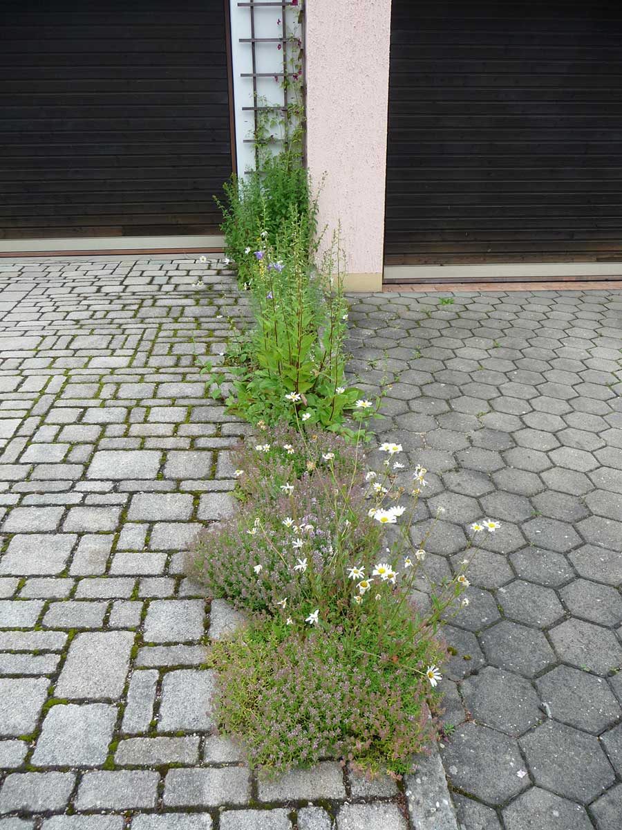 Landschaftsarchitekt Neustadt Aisch