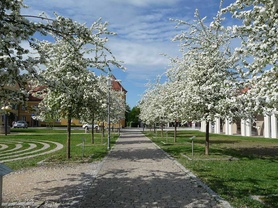 Landschaftsarchitekt Neustadt Aisch