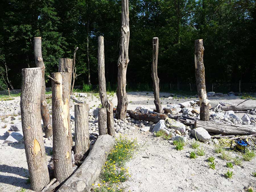 Landschaftsarchitekt Neustadt Aisch