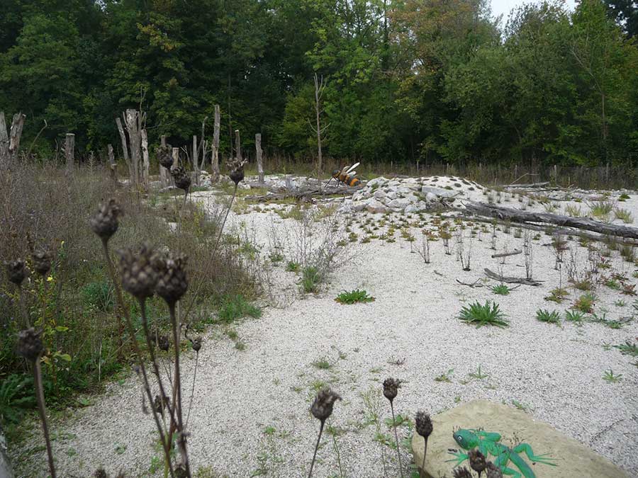 Landschaftsarchitekt Neustadt Aisch