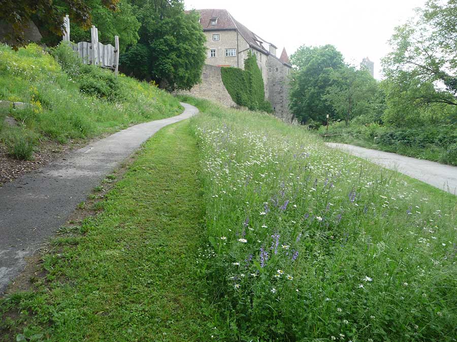 Landschaftsarchitekt Neustadt Aisch