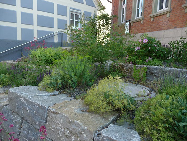 Jobstgreuth Trockenmauer