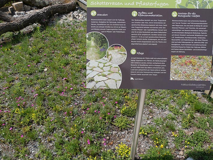 Blumenschotterrasen und Schautafel