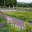 Blumenwiese mit Wildblumen Naturschaugarten in Main Spessart