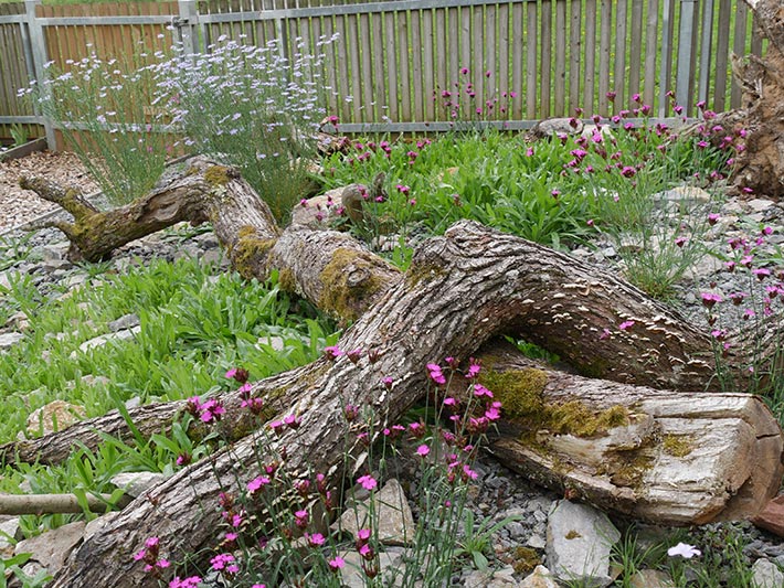 Naturschaugarten Main Spessart