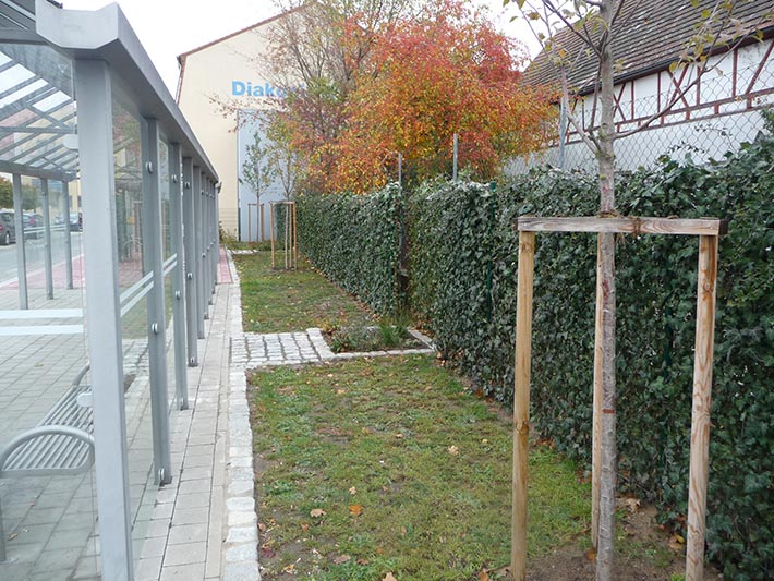 Hecke am laufenden Meter